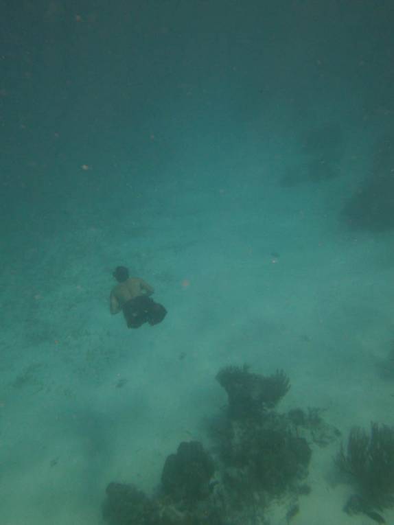 Snorkel nas imediações de Tobacco Caye, na grande barreira de corais de Belize